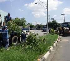 Chuvas: Prefeitura intensifica serviços de supressão de árvores danificadas