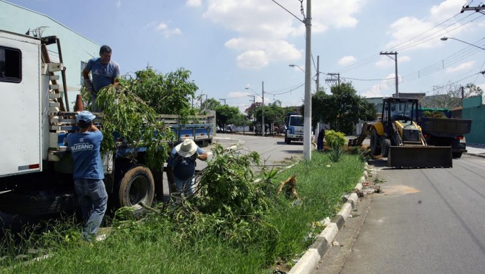 Chuvas: Prefeitura intensifica serviços de supressão de árvores danificadas