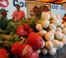 Feiras livres de Suzano terão banheiros químicos