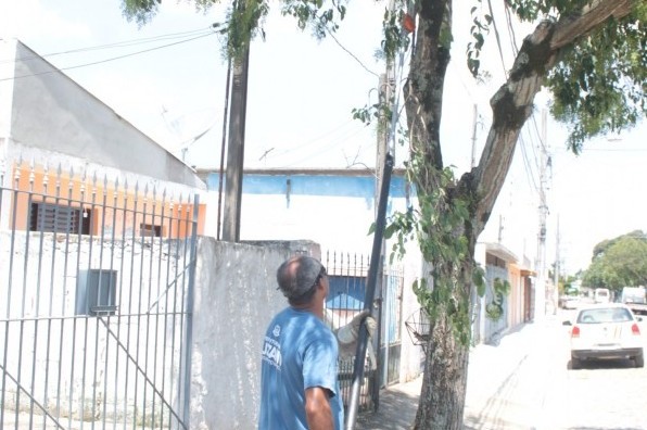 Prefeitura realiza limpeza e poda de 36 árvores na praça do Parque Maria Helena