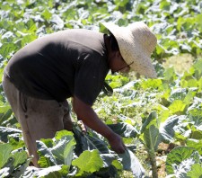 Prefeitura oferece cursos para empresários e produtores rurais