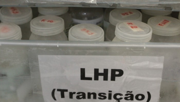 Posto de coleta de leite de Suzano atende todo Alto Tietê