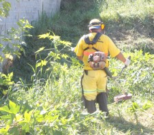 Prefeitura realiza limpeza do Corredor Ecológico