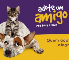 Adote um amigo pra toda vida