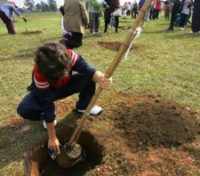 Semana do Meio Ambiente: Prefeitura realiza plantio de 125 árvores nativas em escolas municipais