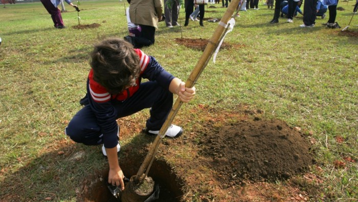 Semana do Meio Ambiente: Prefeitura realiza plantio de 125 árvores nativas em escolas municipais