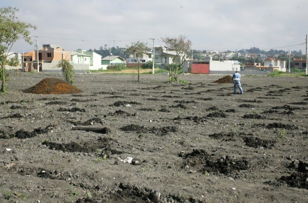 Prefeitura realiza plantio de mil mudas no Jardim Quaresmeira