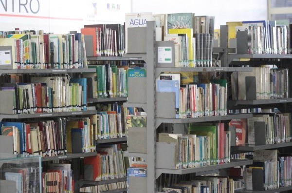 Bibliotecas Municipais dispõem acervo unificado de 36 mil volumes