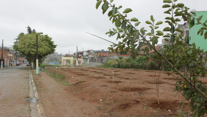 Prefeitura realiza reflorestamento do Corredor Ecológico