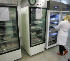 Prefeitura instala câmaras de vacinas em diversos postos de saúde