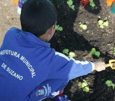 Prefeitura capacita 40 professores para implantação do projeto Horta Educativa