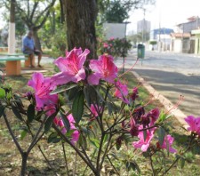 Prefeitura revitaliza Praça Cruzeiro do Sul
