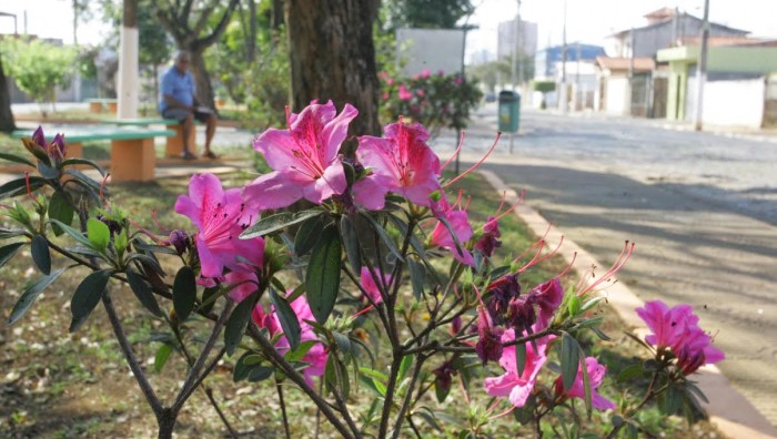Prefeitura revitaliza Praça Cruzeiro do Sul