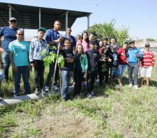 Prefeitura realiza plantio de 75 mudas nativas na escola Valdemar Galo