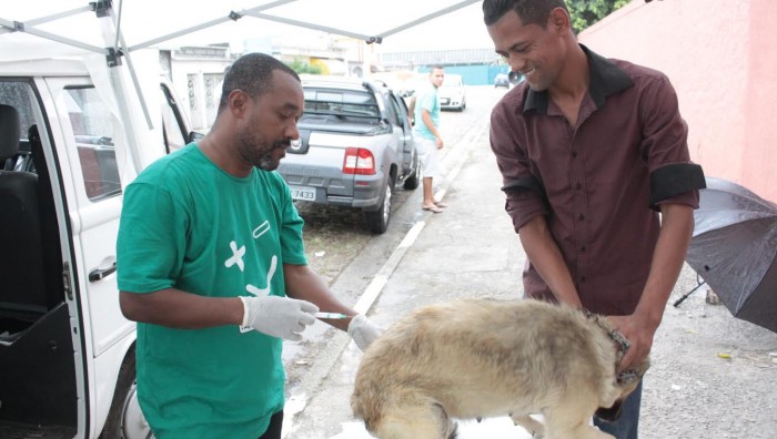 Vacinação Antirrábica imuniza 10 mil animais