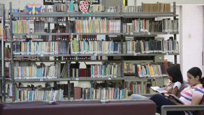 Biblioteca Central realiza mais de 27 mil empréstimos de livros em 2014