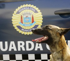 Patrulha Maria da Penha prende em flagrante agressor no Jardim Europa