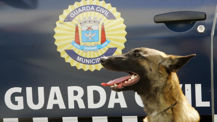 Patrulha Maria da Penha prende em flagrante agressor no Jardim Europa