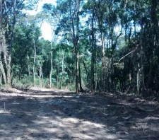 GCM impede crime ambiental na Estrada do Mizukami