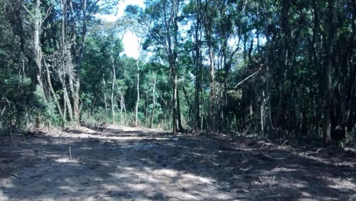 GCM impede crime ambiental na Estrada do Mizukami