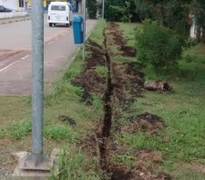 Frequentadores do Parque Max Feffer podem fazer denúncias contra vandalismo via telefone