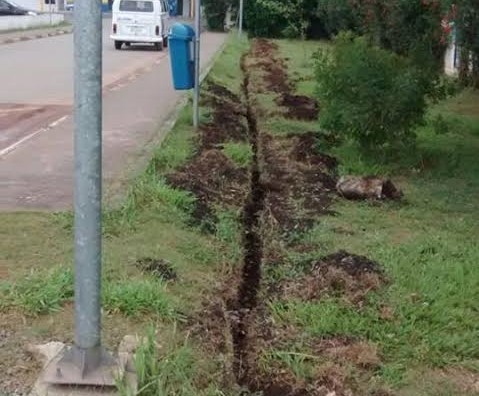 Frequentadores do Parque Max Feffer podem fazer denúncias contra vandalismo via telefone