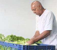 Prefeitura entrega meia tonelada de alimentos no Jardim Miriam
