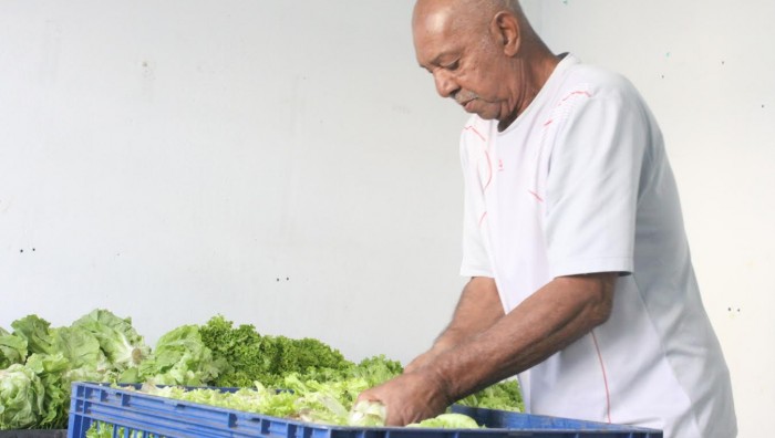 Prefeitura entrega meia tonelada de alimentos no Jardim Miriam