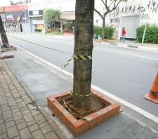 Prefeitura revitaliza calçadas da Escola Marques Figueira e amplia acessibilidade da Parada Tiradentes