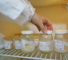 Semana Mundial de aleitamento materno será celebrado com palestra
