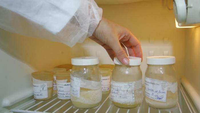 Semana Mundial de aleitamento materno será celebrado com palestra