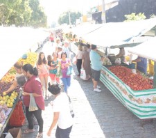 Suzano oferece Programa Alimentos Seguros