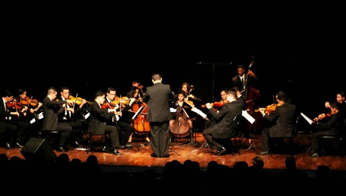 Orquestra de Suzano encerra temporada 2015 com concerto