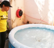Força-tarefa contra o mosquito da dengue segue até março em Suzano