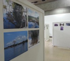 Centro Cultural recebe exposição de fotografias “Fauna e Flora do Meu Brasil”