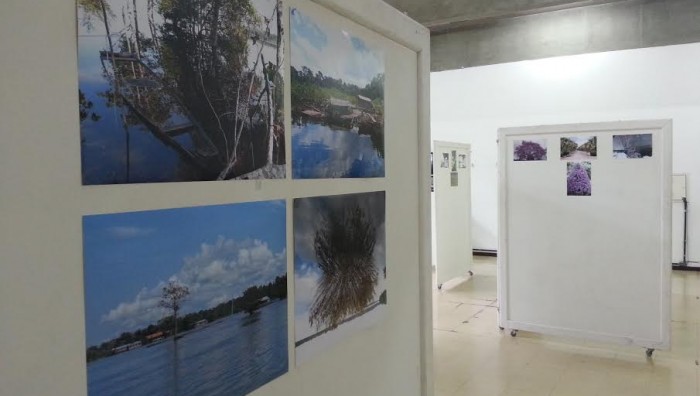 Centro Cultural recebe exposição de fotografias “Fauna e Flora do Meu Brasil”