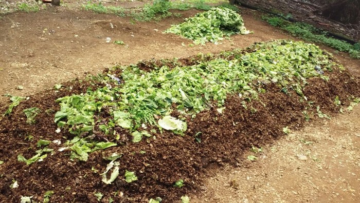 Programa municipal quer produzir 500 quilos de compostagem por dia