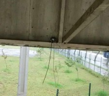 Vândalos destroem refletores e furtam cabos de energia do Parque Max Feffer