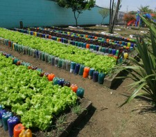 Prefeitura realiza palestra do projeto Horta nas Escolas