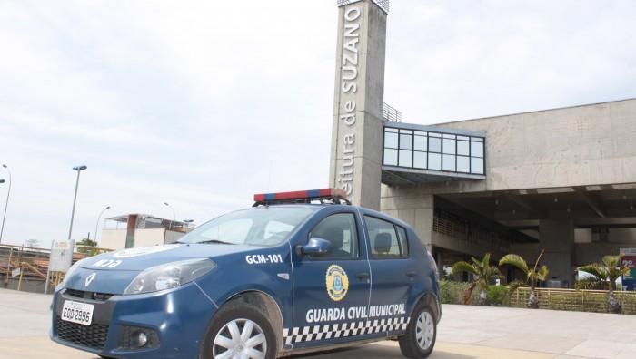 Patrulha Maria da Penha prende agressor em Palmeiras