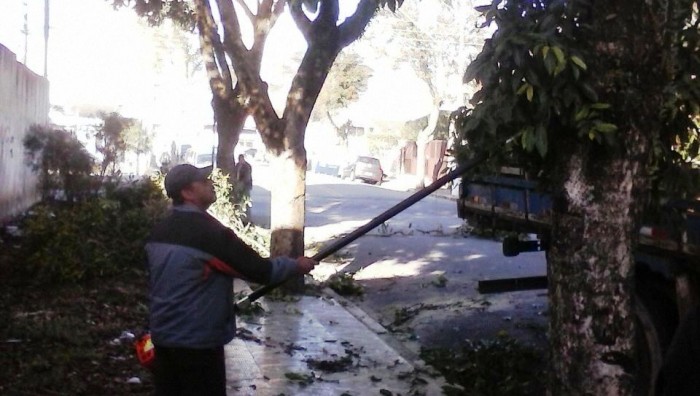 Prefeitura realiza poda de árvores no quadrilátero central