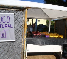 Fiscais solicitam que família deixe  terreno público na Tabamarajoara