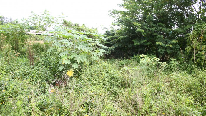 Secretário de Meio Ambiente e vereadores de Suzano-SP  vistoriam Ramal São José e propõem melhorias