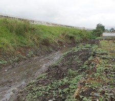 Prefeitura de Suzano-SP monitora córrego do Jardim Belém