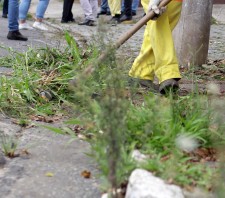 Suzano-SP abre na segunda-feira inscrições para 40 vagas para a Frente de Trabalho