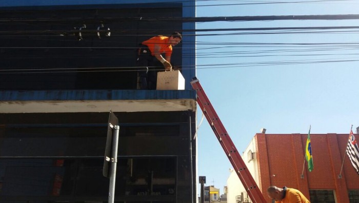 GCM de Suzano-SP resgata preá do mato na região central da cidade
