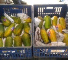 Banco de Alimentos de Suzano-SP reativa convênio com a Ceagesp e passa a receber 20 toneladas de alimentos por mês
