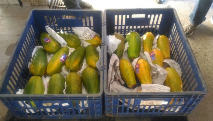 Banco de Alimentos de Suzano-SP reativa convênio com a Ceagesp e passa a receber 20 toneladas de alimentos por mês