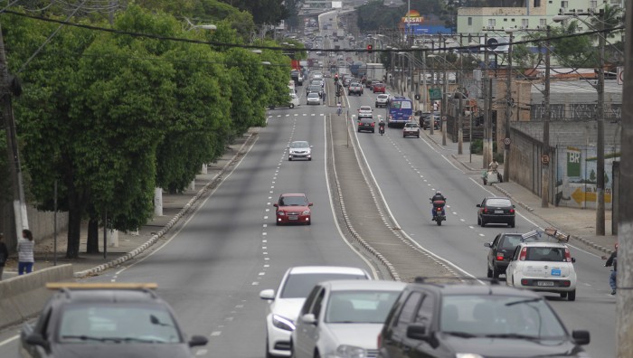 Prefeitura de Suzano-SP recebe doação de 2 mil mudas de Palmeiras para paisagismo urbano