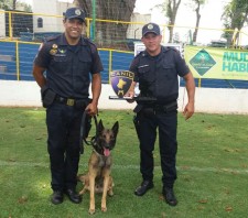 Canil da GCM de Suzano é vencedor em torneio de cães